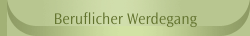 Beruflicher Werdegang