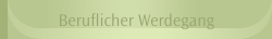 Beruflicher Werdegang